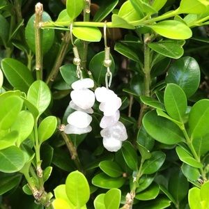 Stacked Crystal Earrings